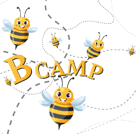 b-camp-banner.png